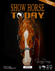 Salute to Small Businesses - Show Horse Today & PleasureHorse.com Article